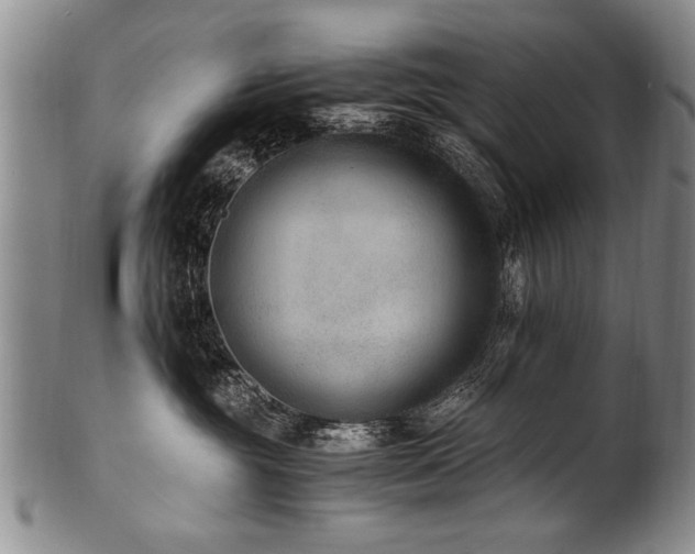 X0000101110381200806261418
