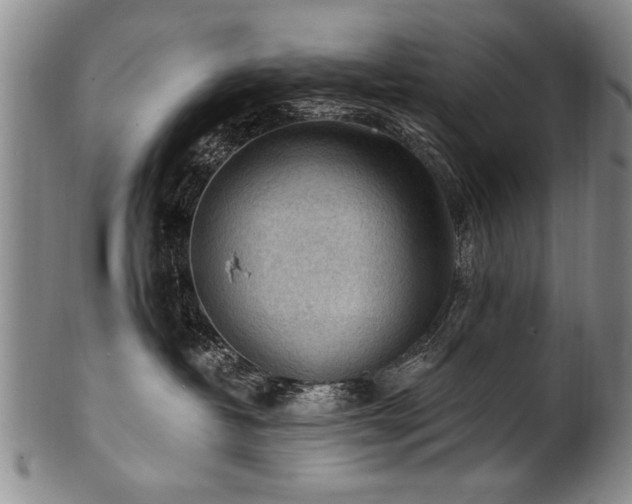 X0000101110382200806261418