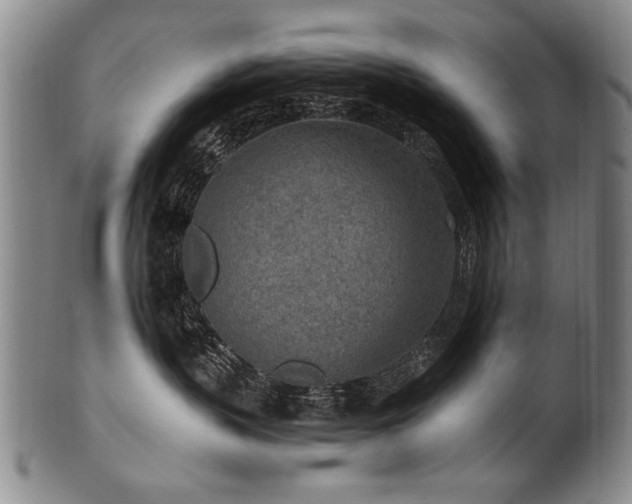 X0000101110383200806261418