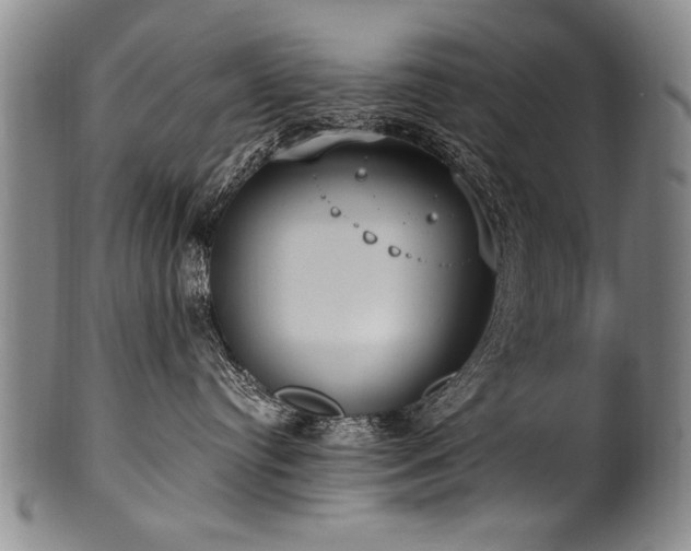 X0000101110384200806261418