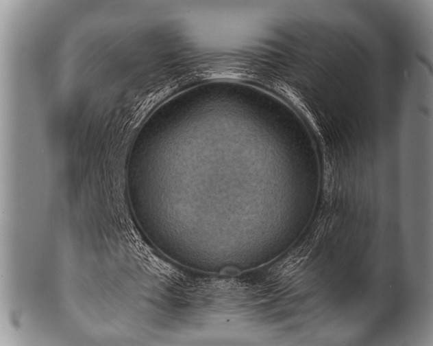 X0000101110385200806261418
