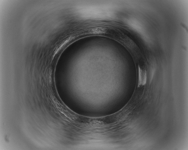 X0000101110387200806261418