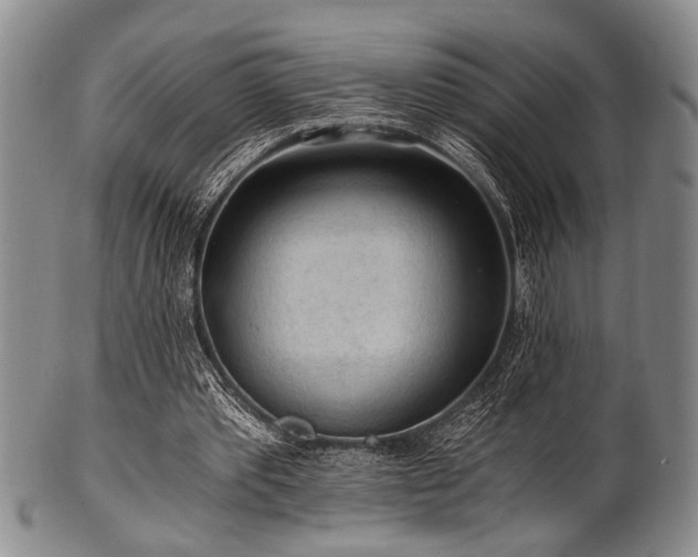 X0000101110389200806261418