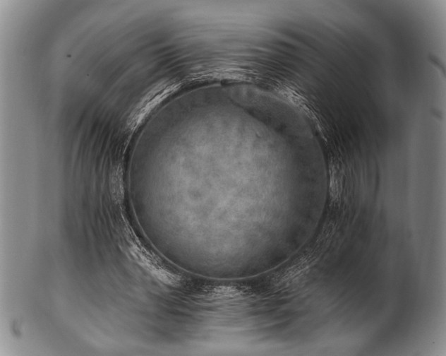 X0000101110390200806261418