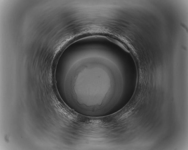 X0000101110391200806261417