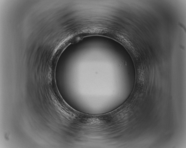 X0000101110392200806261417