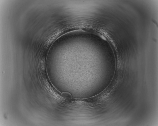 X0000101110393200806261417