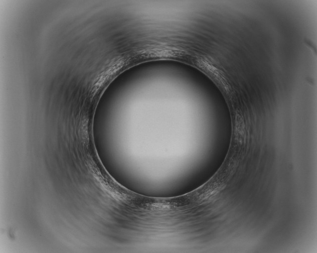 X0000101110394200806261417
