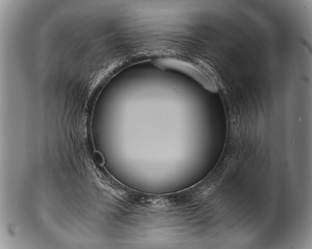 X0000101110395200806261417
