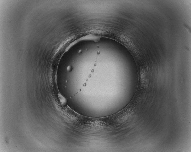 X0000101110396200806261417