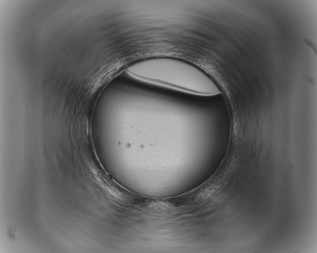 X0000101110397200806261417