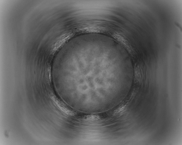 X0000101110398200806261417