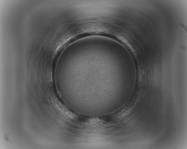 X0000101110399200806261417