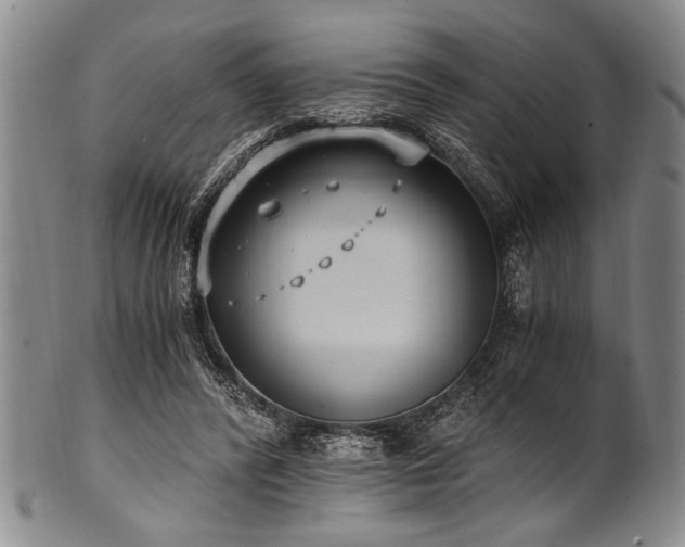 X0000101110400200806261417