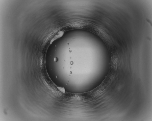 X0000101110404200806261417