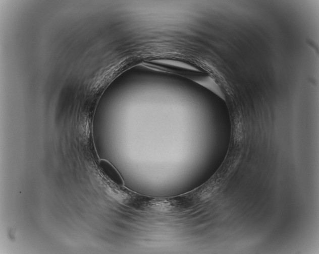X0000101110405200806261417