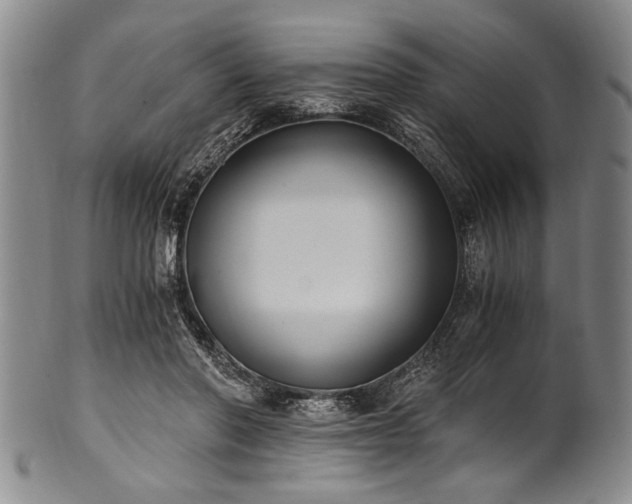X0000101110406200806261417
