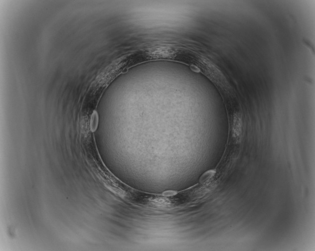 X0000101110409200806261417