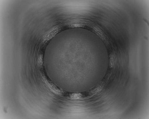 X0000101110410200806261417