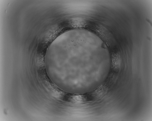 X0000101110411200806261417