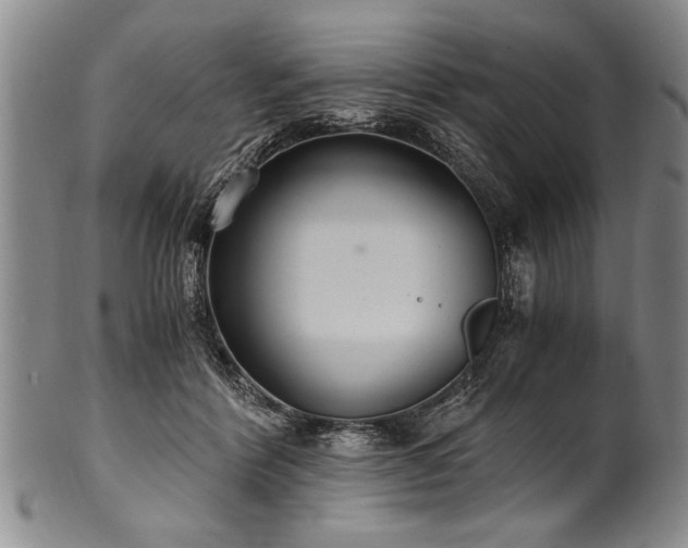 X0000101110412200806261417