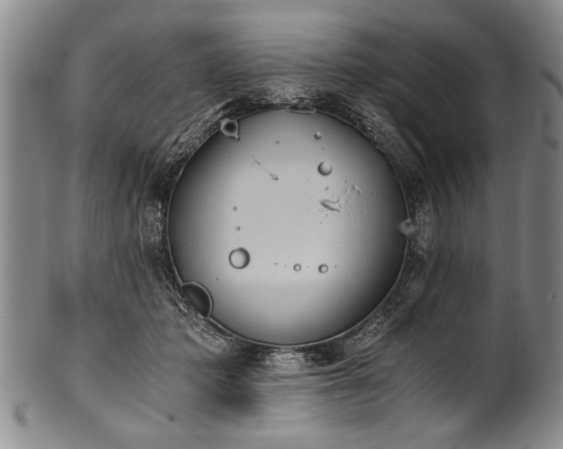 X0000101110413200806261417