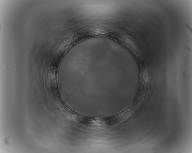 X0000101110415200806261417