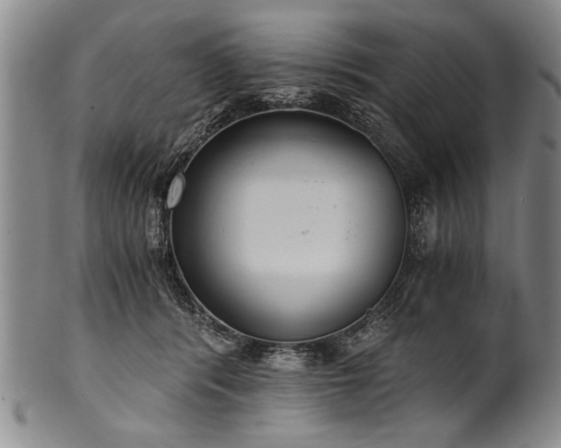 X0000101110416200806261417