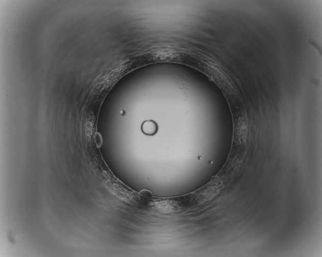 X0000101110417200806261417