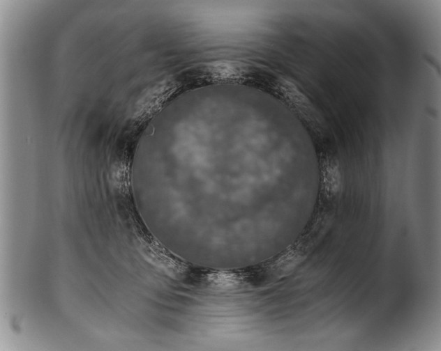 X0000101110419200806261417