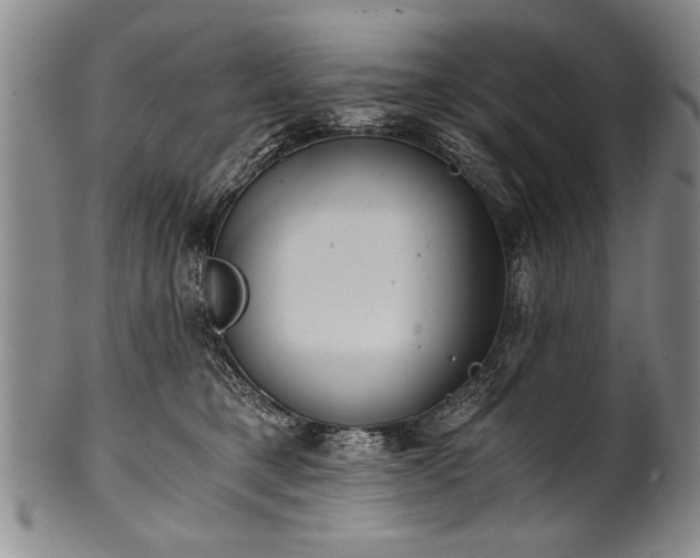 X0000101110421200806261417