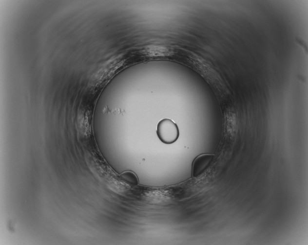 X0000101110422200806261417