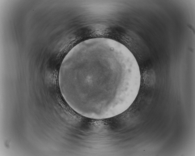 X0000101110423200806261417