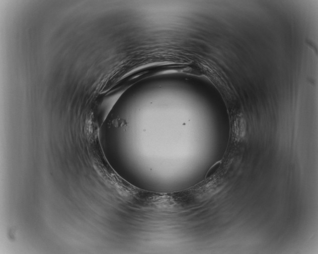 X0000101110424200806261417