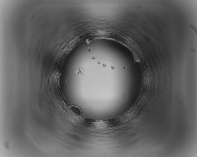 X0000101110425200806261417