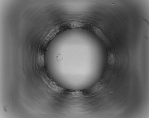 X0000101110426200806261417