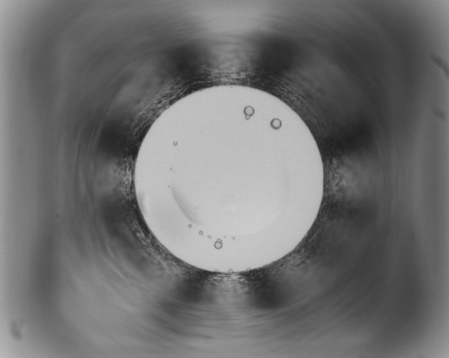 X0000101110427200806261417