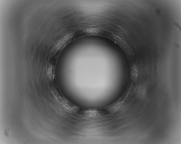 X0000101110428200806261417