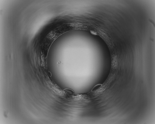 X0000101110430200806261417