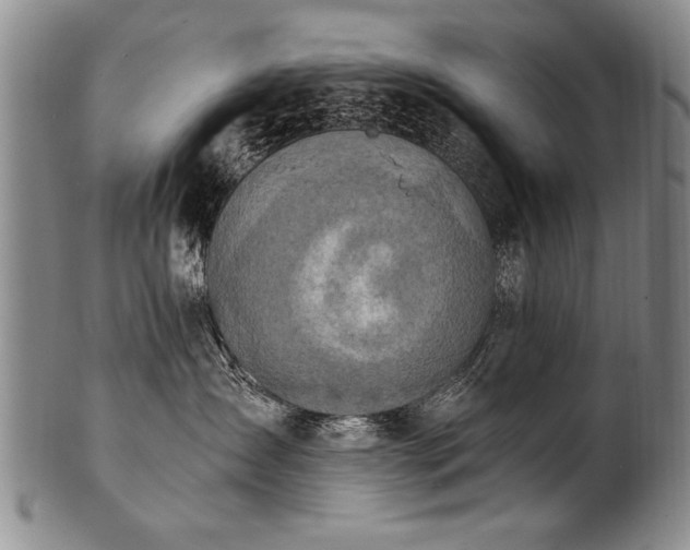 X0000101110431200806261417