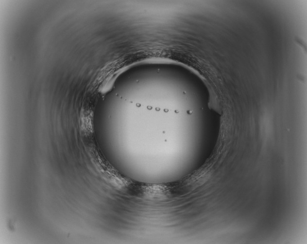 X0000101110432200806261417