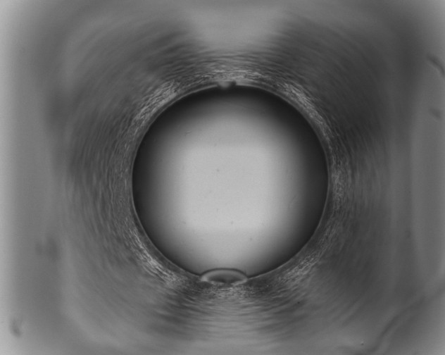 X0000101110433200806261416