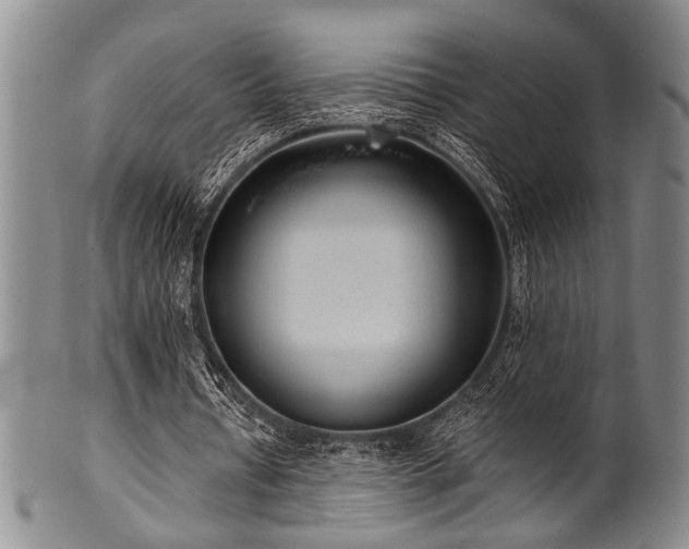 X0000101110434200806261416