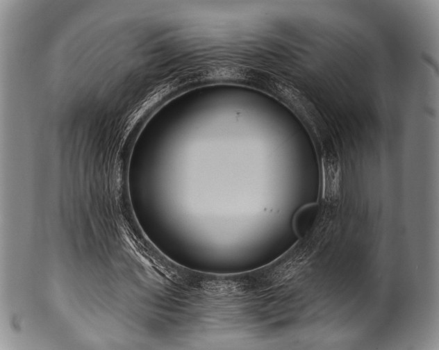 X0000101110435200806261416