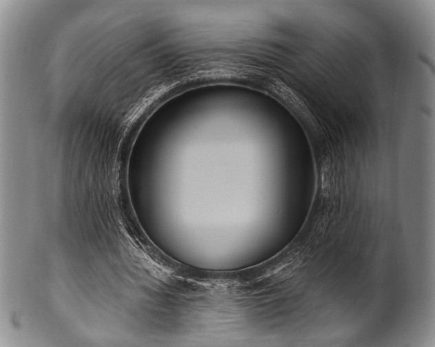 X0000101110436200806261416