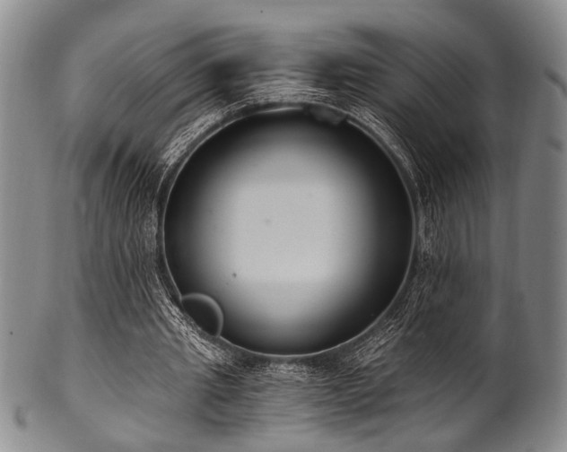 X0000101110437200806261416