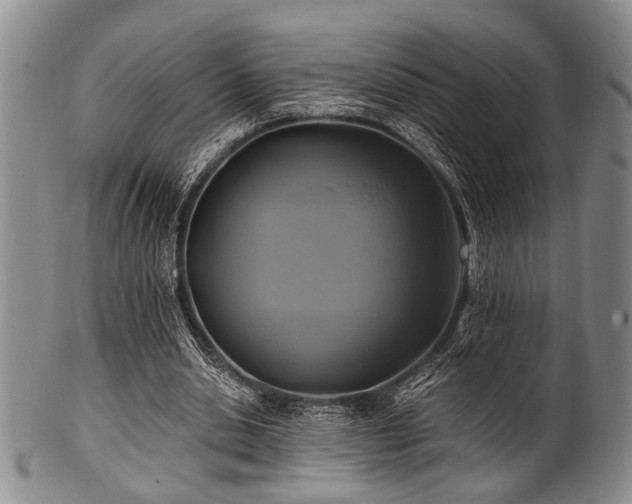 X0000101110438200806261416