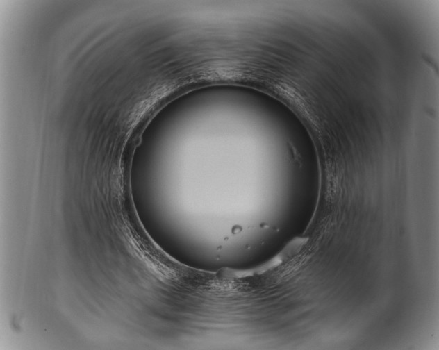 X0000101110439200806261416