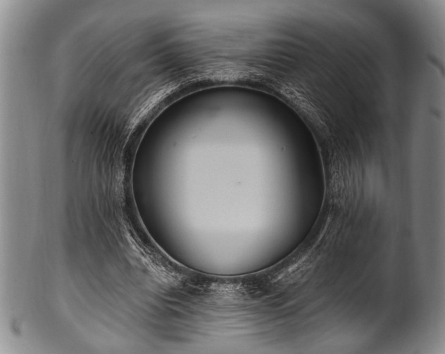 X0000101110440200806261416