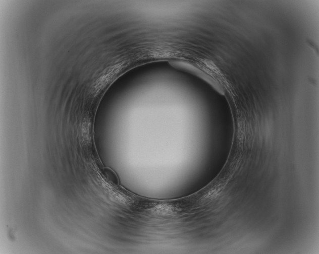 X0000101110441200806261416